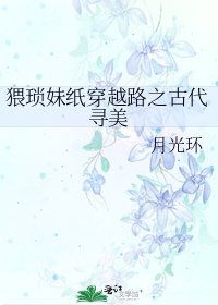 《猥琐妹纸穿越路之古代寻美》