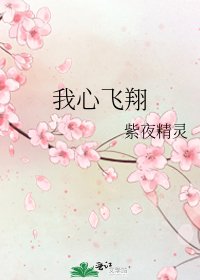 《我心飞翔》