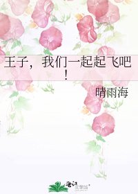 《王子,我们一起起飞吧!》