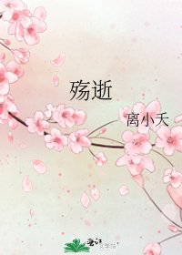 《殇逝》