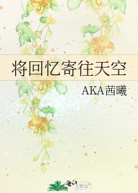 《将回忆寄往天空》