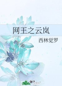 《网王之云岚》