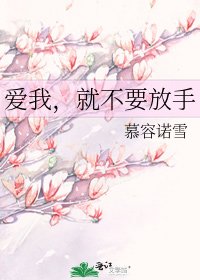 《爱我,就不要放手》