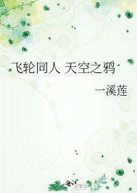 《飞轮同人 天空之鸦》