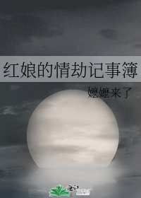 《红娘的情劫记事簿》
