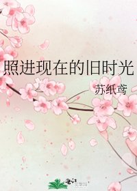 《照进现在的旧时光》