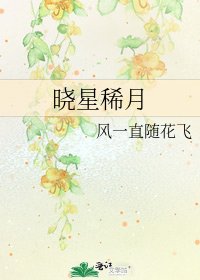 《晓星稀月》