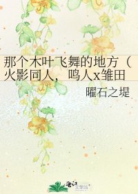 《那个木叶飞舞的地方(火影同人,鸣人x雏田)》