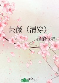 《芸薇(清穿)》