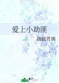 《爱上小劫匪》
