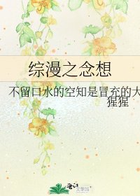 综漫之念想