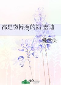 都是微博惹的祸[宏迪]