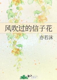 《风吹过的信子花》