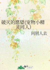 破灭的愿望(宠物小精灵同人）