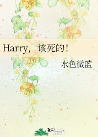 《Harry,该死的!》