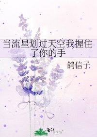 《当流星划过天空我握住了你的手》