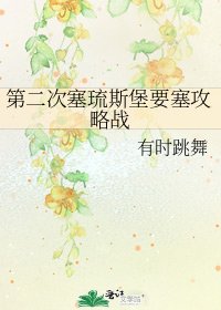《第二次塞琉斯堡要塞攻略战》
