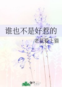 《谁也不是好惹的》