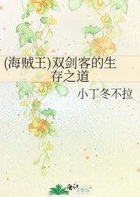 《(海贼王)双剑客的生存之道》
