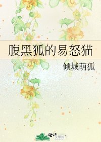 《腹黑狐的易怒猫》