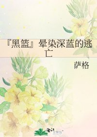 《『黑篮』晕染深蓝的逃亡》