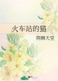 《火车站的猫》