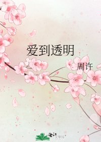 《爱到透明》