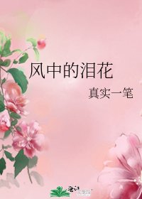 《风中的泪花》