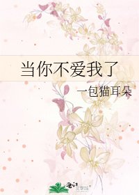 《当你不爱我了》