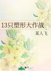 《13只塑形大作战》