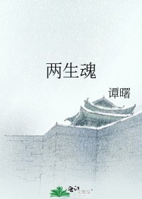 《两生魂》