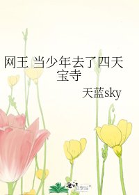 网王 当少年去了四天宝寺