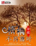 梧桐不再落叶