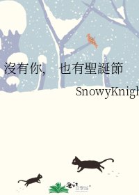 《沒有你, 也有聖誕節》