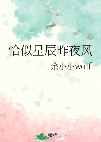 《恰似星辰昨夜风》