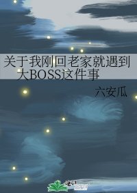 关于我刚回老家就遇到大BOSS这件事