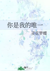 《你是我的唯一》