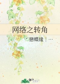 《网络之转角》