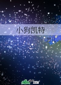 《小构凯特》
