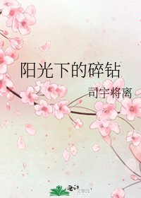 《阳光下的碎钻》