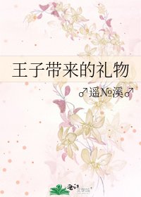 《王子带来的礼物》