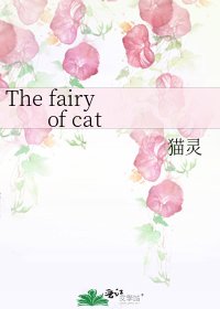 《The fairy of cat》