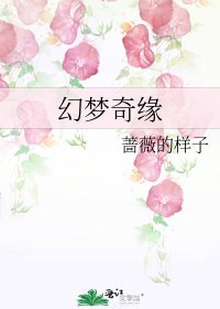 《幻梦奇缘》