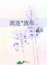 《流连*流年》