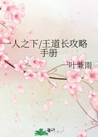 《一人之下/王到畅巩略手册》
