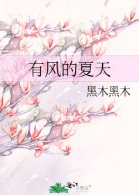《有风的夏天》