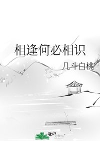 相逢何必相识