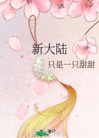《新大陆》