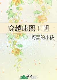 《穿越康熙王朝》