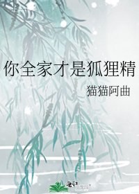 《你全家才是狐狸精》